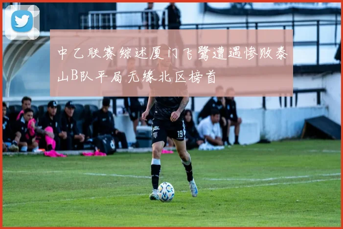 中乙联赛综述厦门飞鹭遭遇惨败泰山B队平局无缘北区榜首
