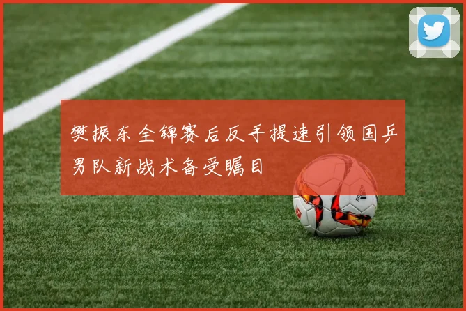 樊振东全锦赛后反手提速引领国乒男队新战术备受瞩目